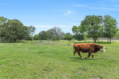 41545 Fm 3346 Road, Hempstead, TX 77445 - Photo 40