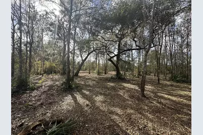 0 County Road 244A, Brazoria, TX 77422 - Photo 8