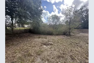 0 County Road 244A, Brazoria, TX 77422 - Photo 6