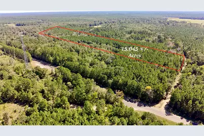 Tbd County Road 1058, Wiergate, TX 75977 - Photo 44