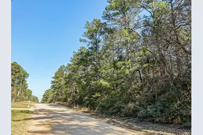 13167 Mill Creek Drive N, Plantersville, TX 77363 - Photo 6