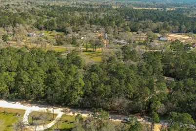 13167 Mill Creek Drive N, Plantersville, TX 77363 - Photo 2