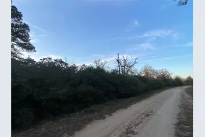 63 Holly Lane, Hilltop Lakes, TX 77871 - Photo 6