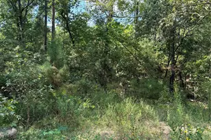 Tbd Honeysuckle Lot 10, Livingston, TX 77351 - Photo 1