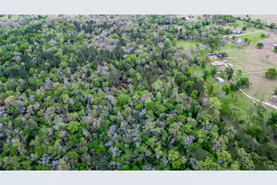 Tbd Pr 1120, Leona, TX 75850 - Photo 8