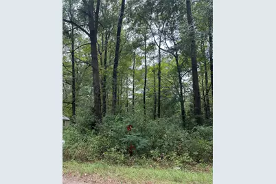 0000 Dogwood Lane, Lufkin, TX 75904 - Photo 6