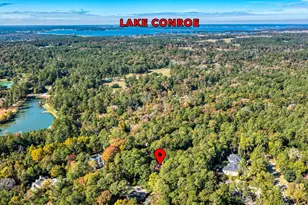 7346 Teaswood Dr, Conroe, TX 77304 - Photo 48