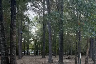 19228 Kettering Cir, New Caney, TX 77357 - Photo 2