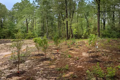 Tbd Saratoga Woods Drive, Montgomery, TX 77316 - Photo 8