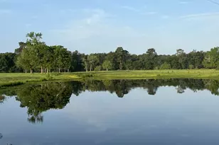 12706 Wanda Ln, Magnolia, TX 77354 - Photo 8