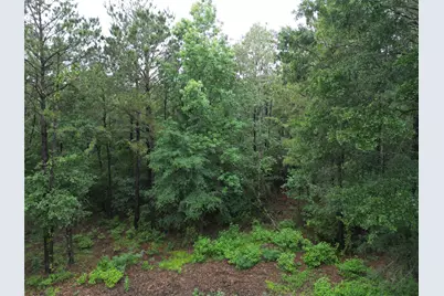 268 Cedar Valley Road, Coldspring, TX 77331 - Photo 12