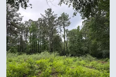 268 Cedar Valley Road, Coldspring, TX 77331 - Photo 16