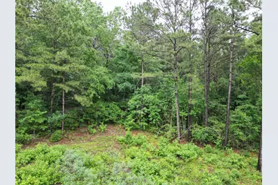 268 Cedar Valley Road, Coldspring, TX 77331 - Photo 18
