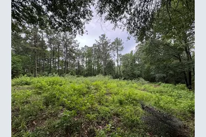 268 Cedar Valley Road, Coldspring, TX 77331 - Photo 1