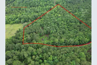 268 Cedar Valley Road, Coldspring, TX 77331 - Photo 4
