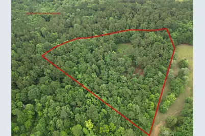 268 Cedar Valley Road, Coldspring, TX 77331 - Photo 10