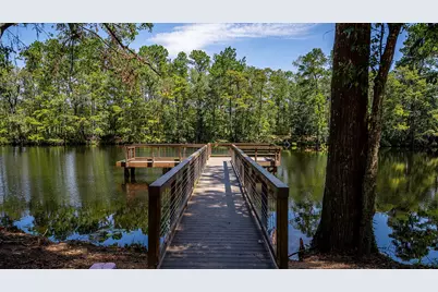 9611 Mount Brewer Lane, Porter, TX 77365 - Photo 12