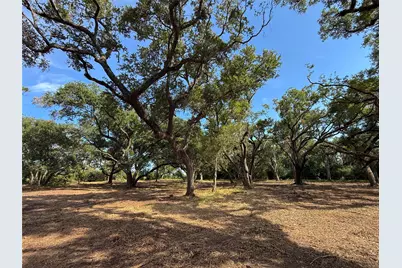 Lot 1 S F Austin, Freeport, TX 77541 - Photo 8