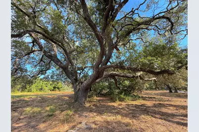Lot 1 S F Austin, Freeport, TX 77541 - Photo 2