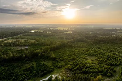 1999 Cherokee Trail, Lovelady, TX 75851 - Photo 18