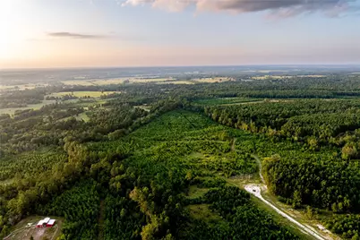 1999 Cherokee Trail, Lovelady, TX 75851 - Photo 6