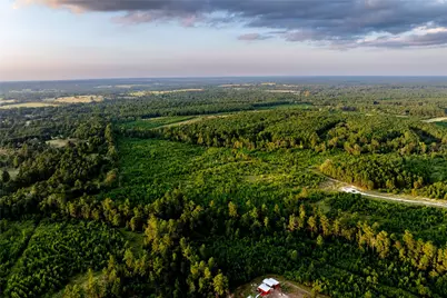 1999 Cherokee Trail, Lovelady, TX 75851 - Photo 8