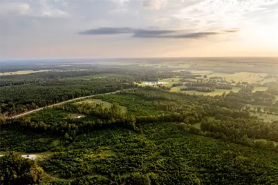 1999 Cherokee Trail, Lovelady, TX 75851 - Photo 16