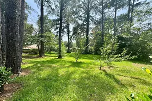 803 Pear St, Woodville, TX 75979 - Photo 36