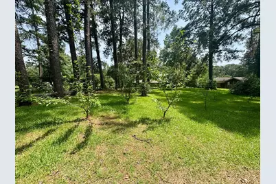 803 Pear Street, Woodville, TX 75979 - Photo 34