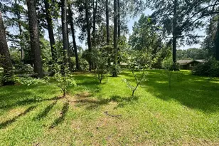 803 Pear St, Woodville, TX 75979 - Photo 34