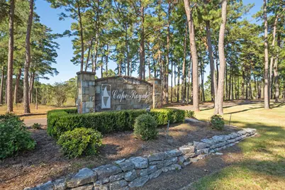 110 Lords Circle, Coldspring, TX 77331 - Photo 28