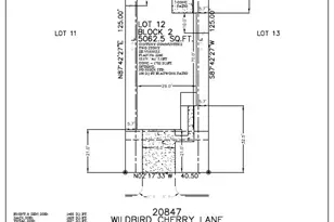 20847 Wildbird Cherry St, Porter, TX 77365 - Photo 48