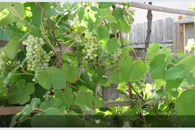 11423 Wickersham Lane, Houston, TX 77077 - Photo 24