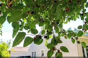 11423 Wickersham Ln, Houston, TX 77077 - Photo 22