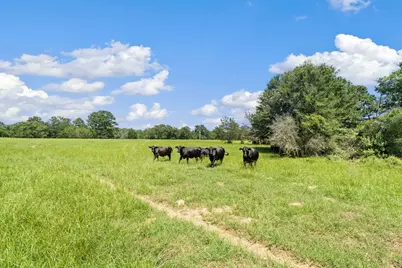 Tbd St Delight Tract 4, Paige, TX 78659 - Photo 2