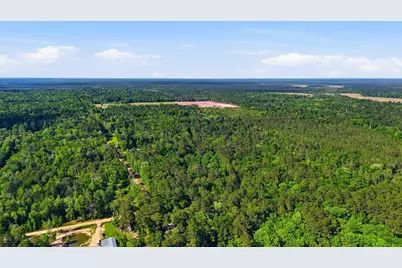 164 Road 2699, Cleveland, TX 77327 - Photo 10