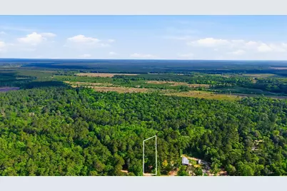 164 Road 2699, Cleveland, TX 77327 - Photo 8