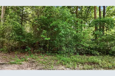164 Road 2699, Cleveland, TX 77327 - Photo 1