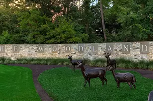 26 Southfork Pines Pl, The Woodlands, TX 77381 - Photo 30