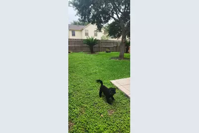 13230 Skyview Green Drive, Houston, TX 77047 - Photo 20