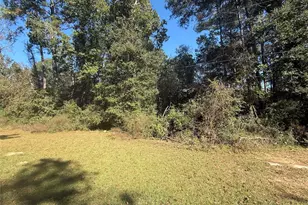 Tbd2 Lake Shore Dr, Conroe, TX 77303 - Photo 4