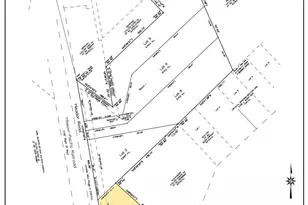 1 9 Ac Meador Rd, Conroe, TX 77303 - Photo 4