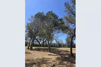 000 Tinkler, Rock Island, TX 77470 - Photo 6