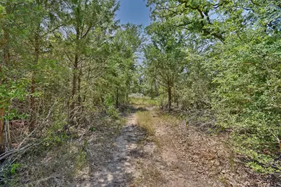 000 Fm 60, Somerville, TX 77879 - Photo 10