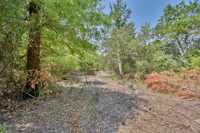 000 Fm 60, Somerville, TX 77879 - Photo 8