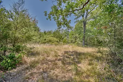 000 Fm 60, Somerville, TX 77879 - Photo 6