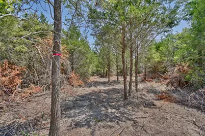 000 Fm 60, Somerville, TX 77879 - Photo 20