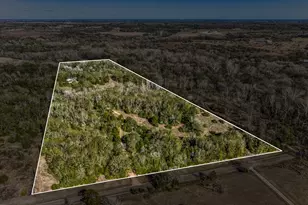 3408 Old Hwy 36, Bellville, TX 77418 - Photo 28