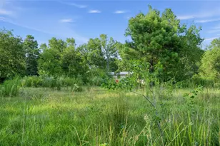 16887 Main St, Splendora, TX 77372 - Photo 6