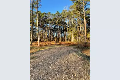 11309 Annie Creek Drive, Willis, TX 77378 - Photo 1